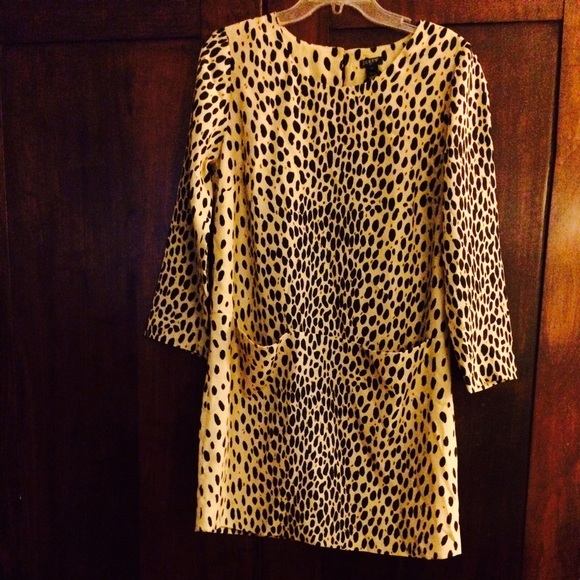 J Crew Dress