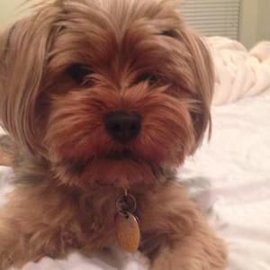 Meet your Posher, Larisa