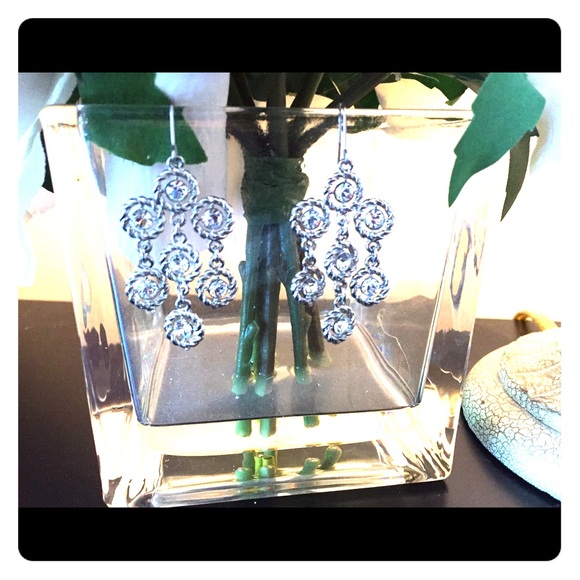 Aldo's Earrings!