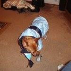 Meet your Posher, Ann