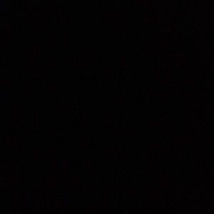 Meet your Posher, Brynn