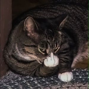 Meet your Posher, Clare