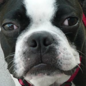 Meet your Posher, Kathy