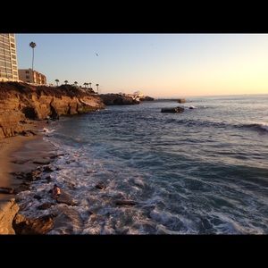 Meet your Posher, Tashina