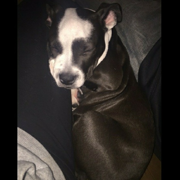 Meet Your Posh Ambassador! - Picture 2 of 4