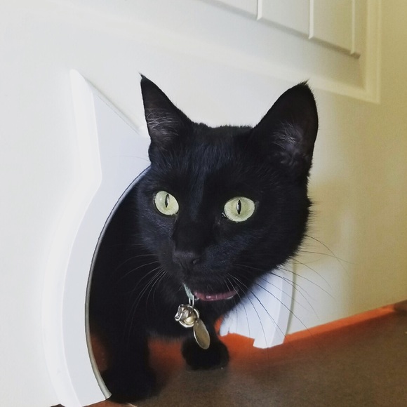 Meet your Posher, Ashley - Picture 5 of 5