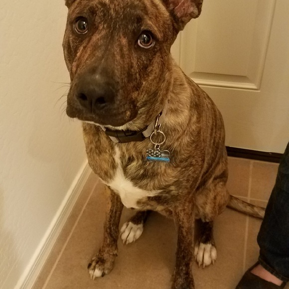 Meet your Posher, Ashley - Picture 3 of 5