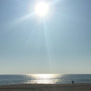 Meet your Posher, Marie