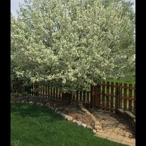 Meet your Posher, Bonnie