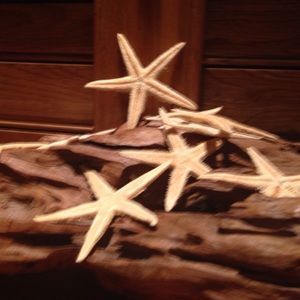 Meet your Posher, Jan