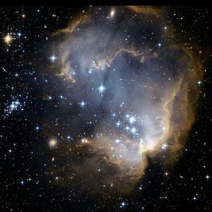 Meet your Posher, Alina