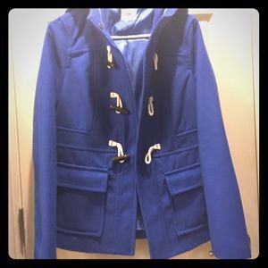 Royal blue coat