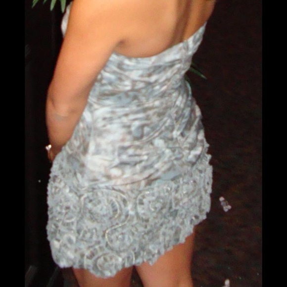 Beautiful, BCBG dress!
