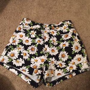 American apparel shorts