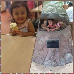 Meet your Posher, Connie