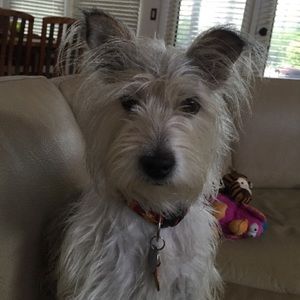 Meet your Posher, Beth