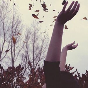 Meet your Posher, Nash