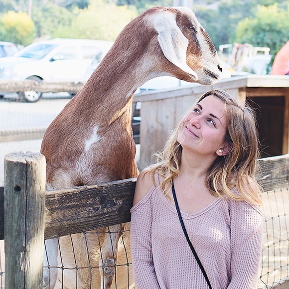 Meet your Posher, Alisa - Picture 4 of 4