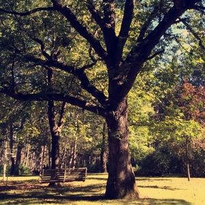 Meet your Posher, Maya