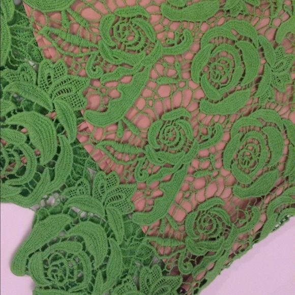 SALE! Nicole Miller Green Nude Lace Straight Skirt - Picture 4 of 4
