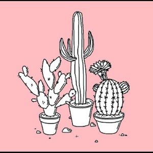 Meet your Posher, Isabelle