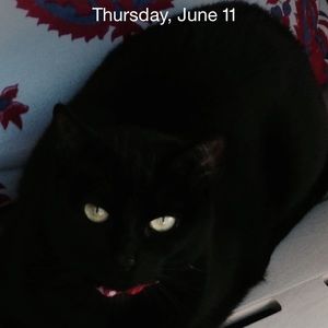 Meet your Posher, Barbara