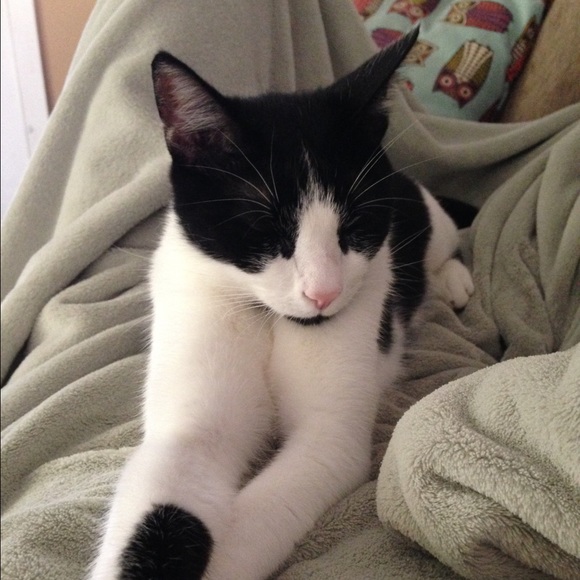 Meet your Posher, Kayla