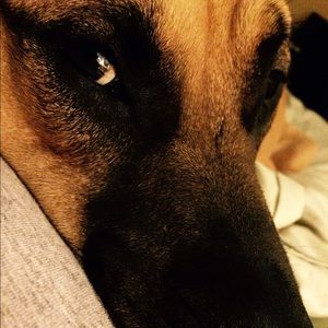 Meet your Posher, Linda