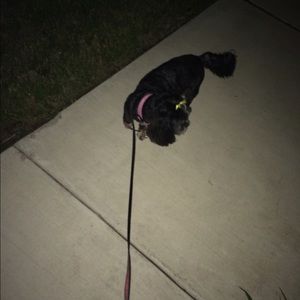 Meet your Posher, Thomas