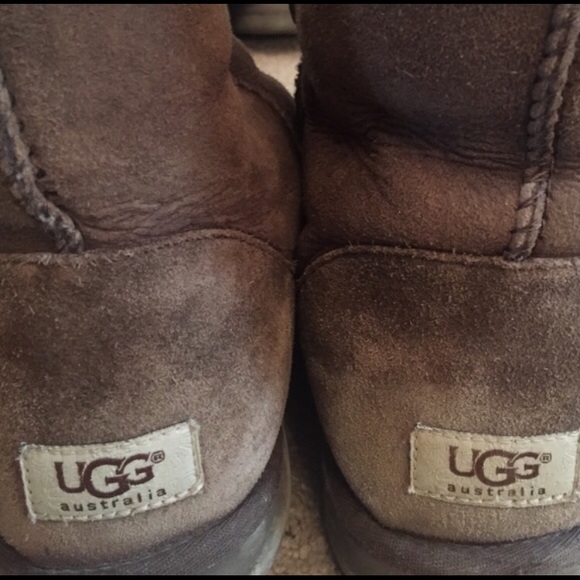 Chestnut brown ugg boots