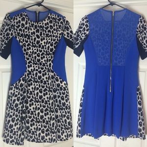 Three floor leopard blue mesh dress