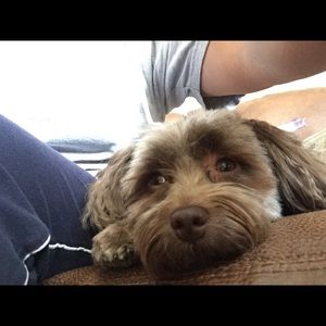 Meet your Posher, Cindy