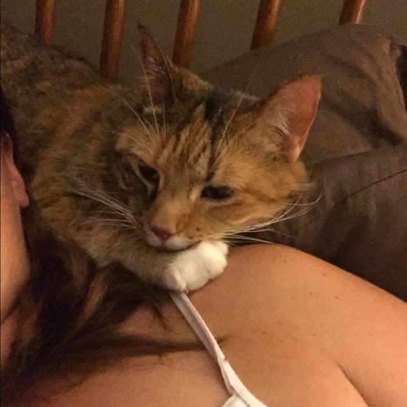 Meet your Posher, Laura - Picture 1 of 1