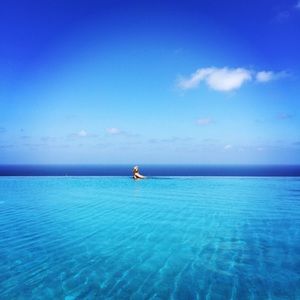 Meet your Posher, Shelby