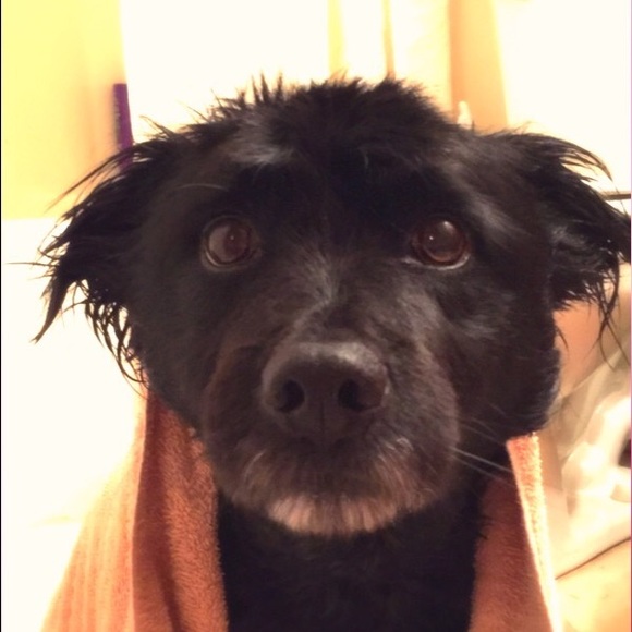 Meet your Posher, Chelsey