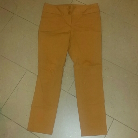 Dressy/casual pants
