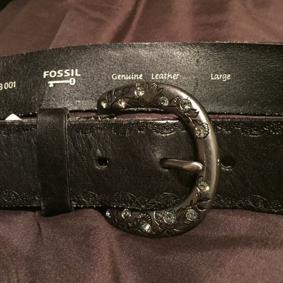 Fossil Belt