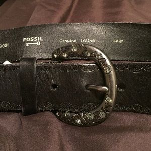 Fossil Belt