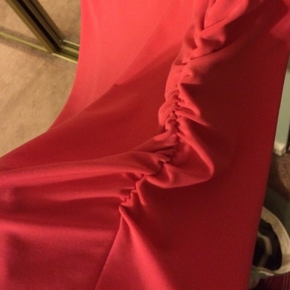 Pink salmony - Picture 2 of 2