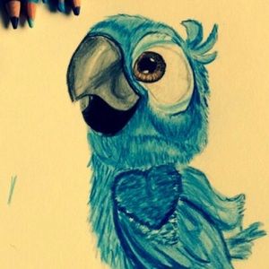 Meet your Posher, Sally