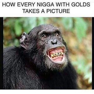 Meet your Posher, Shawntee