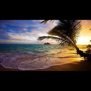 Meet your Posher, Daisy