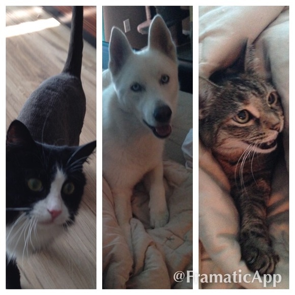 Meet the Posher, Selena - Picture 4 of 4