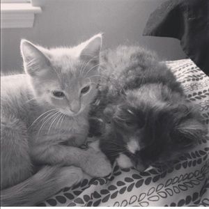 Meet your Posher, Cassandra