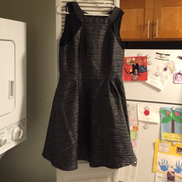 Metallic threaded fit and flare dress. Never worn.
