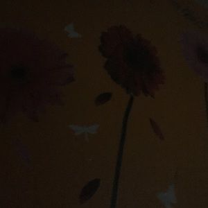 Meet your Posher, Christy