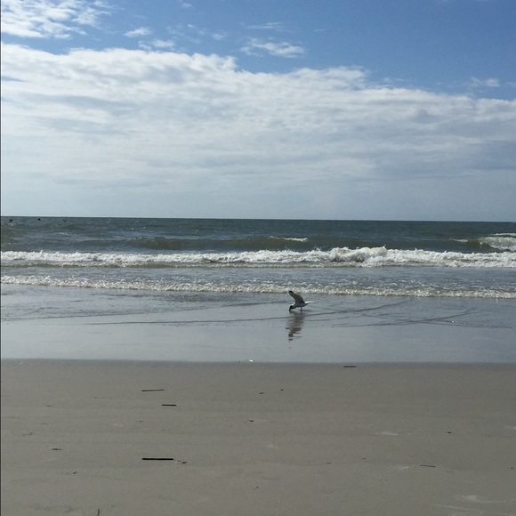 Meet your Posher, Theresa