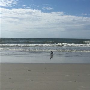 Meet your Posher, Theresa