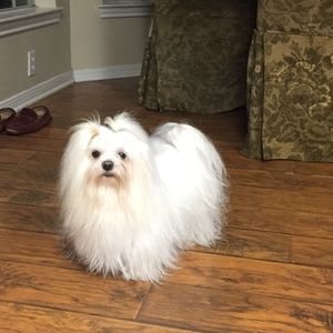 Meet your Posher, Johanna