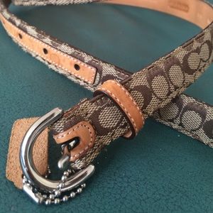 Coach belt medium